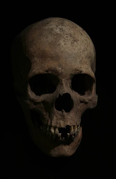 黒い背景をした人間の頭蓋骨 — ストック写真