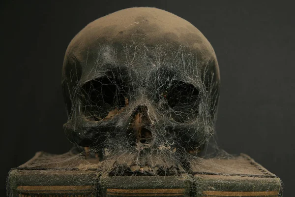 Totenkopf Mit Spinnennetz Auf Büchern Stockbild