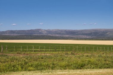 Bir tarlanın, dağların ve mavi gökyüzünün manzarası