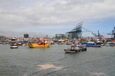 San Antonio limanında gemiler, Şili