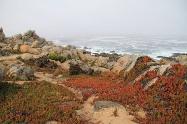 Deniz kıyısında sisli bir sabah