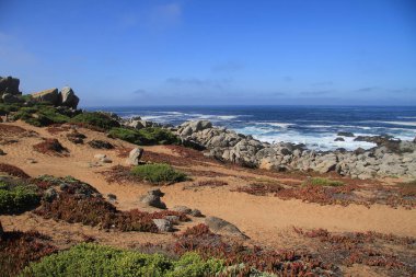 Deniz kıyısında güneşli bir gün, mavi gökyüzü, dalgalar ve kayalar