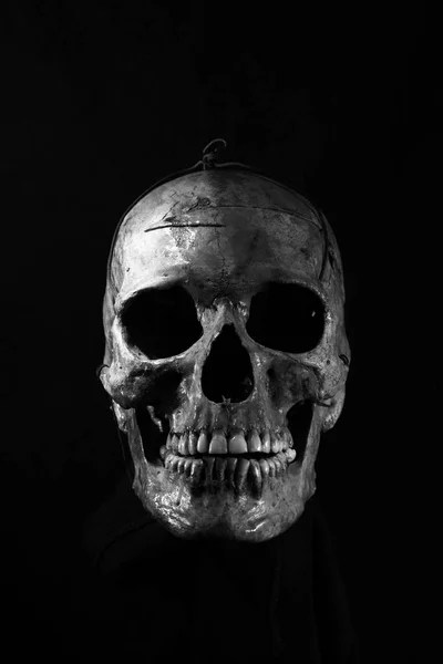 배경의 사람의 두개골 스톡 사진
