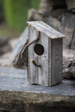 Taşların üzerinde ahşap kuş evi