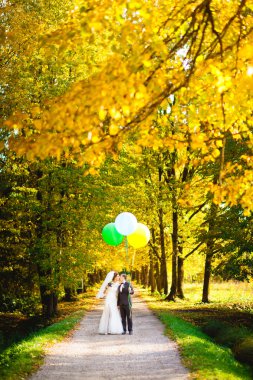 Balonlu bankta gelin ve damat öpüşme