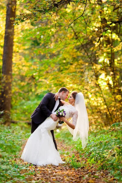 Bruid en bruidegom omarmen in herfst bos — Stockfoto