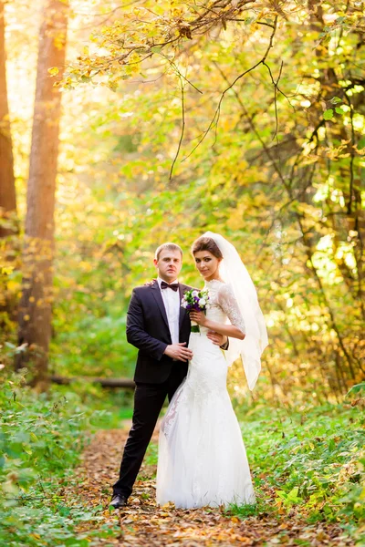 Noiva e noivo abraçar na floresta de outono — Fotografia de Stock