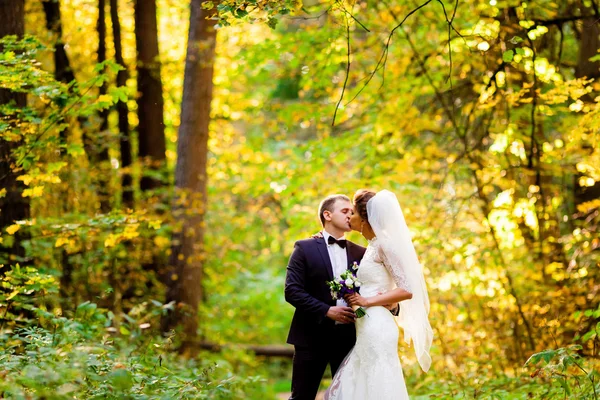 De bruidegom is kissing de bruid in herfst bos — Stockfoto