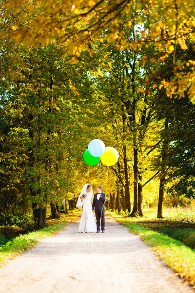 Noiva e noivo de pé no beco com balões em um fundo de folhas amarelas do outono — Fotografia de Stock