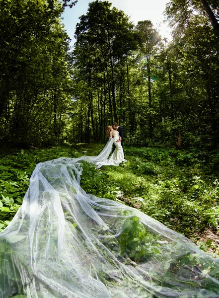 Noivo e noiva com véu nupcial muito longo na floresta de primavera — Fotografia de Stock