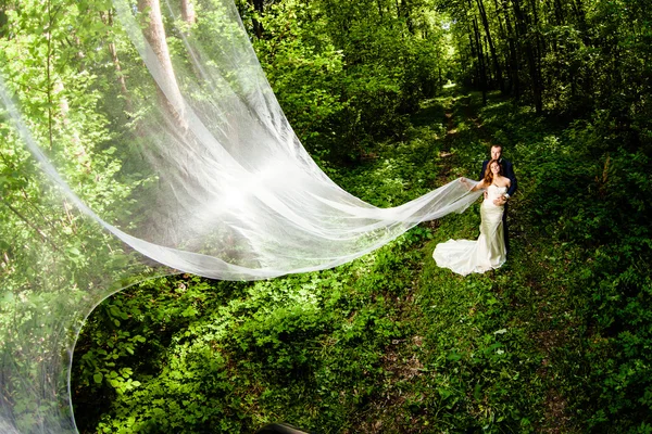 Жених и невеста с длинной завесой невесты в весеннем лесу — стоковое фото