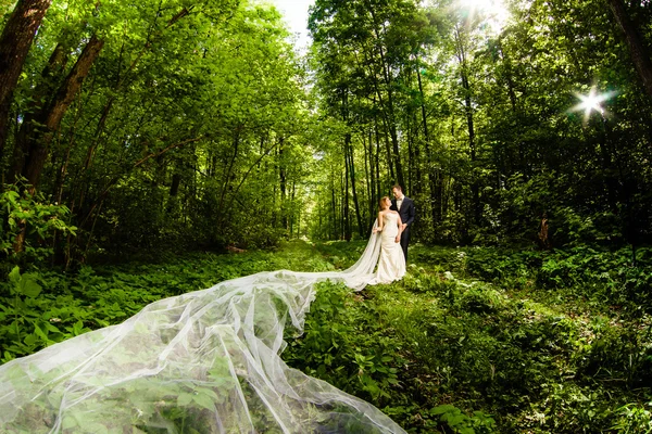 Pan młody i panna młoda z bardzo długie suknie ślubne vail w lesie wiosna — Zdjęcie stockowe