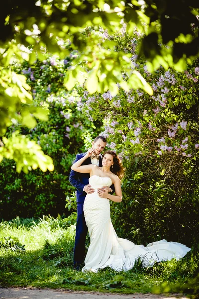 Marié et mariée en mai, dans un contexte de nature florissante — Photo