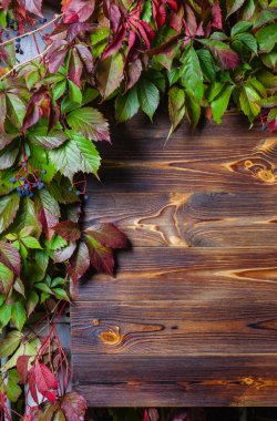 Plakalar dikey ahşap arka plan yaptı