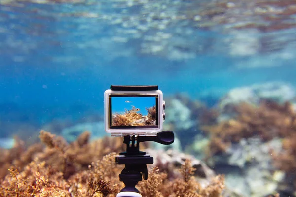 Usando cámara de acción en caja impermeable para hacer fotos y video bajo el agua — Foto de Stock