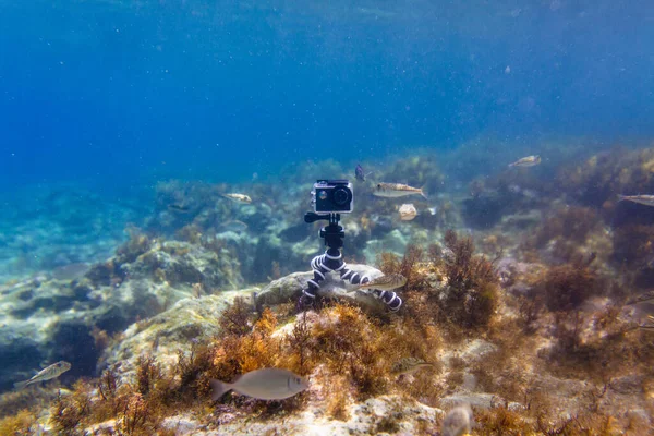 Usando la cámara en una caja impermeable en un trípode para hacer fotos y videos desde el fondo del mar — Foto de Stock