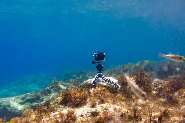 Usando la cámara en una caja impermeable en un trípode para hacer fotos y videos desde el fondo del mar — Foto de Stock