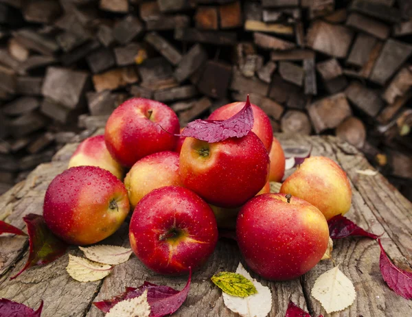 Apple harvest — Stock Photo, Image