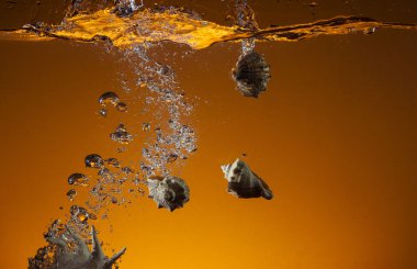 tank kabuk içine düşen