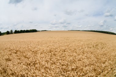 alan ve bulutlu gökyüzü