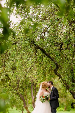 Gelin ve damat elma bahçesi içinde