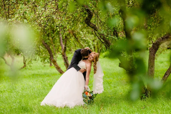 Braut und Bräutigam im Apfelgarten — Stockfoto