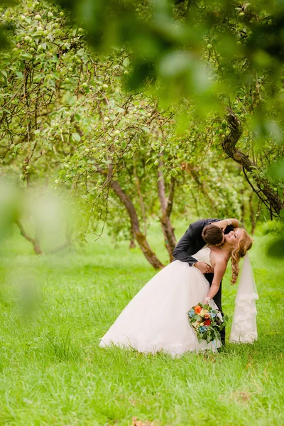 Sposa e sposo nel frutteto di mele — Foto Stock