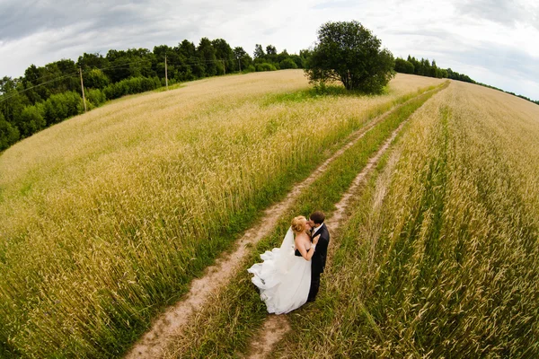 Bruid en bruidegom op de weg in een veld — Stockfoto