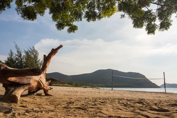 Tayland ile tropikal plaj