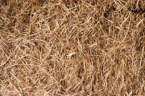 Straw background — Stock Photo, Image