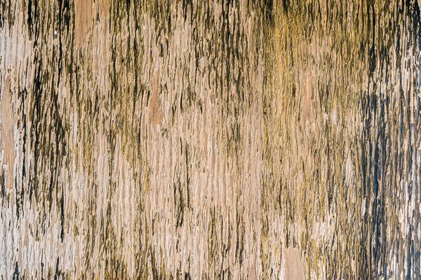 Wood old vertical background — Stock Photo, Image