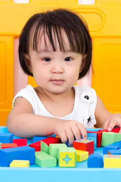 Asiático poco china chica jugando madera bloques — Foto de Stock