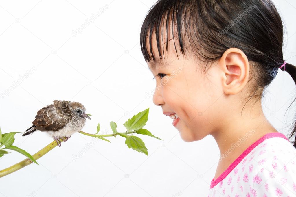 Asian Little Chinese Girl Watching a Small Cuckoo