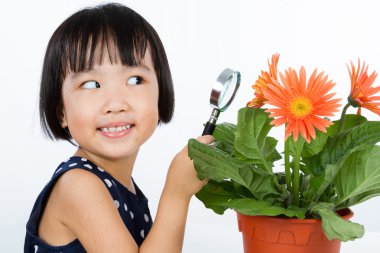 Asyalı küçük Çinli kız çiçeklere bir büyüteç aracılığıyla arıyor