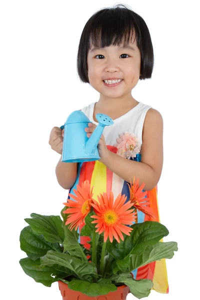 Азиатская маленькая китаянка поливает цветок — стоковое фото
