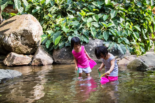 Asian Little Chinese Girls Playing in Creek