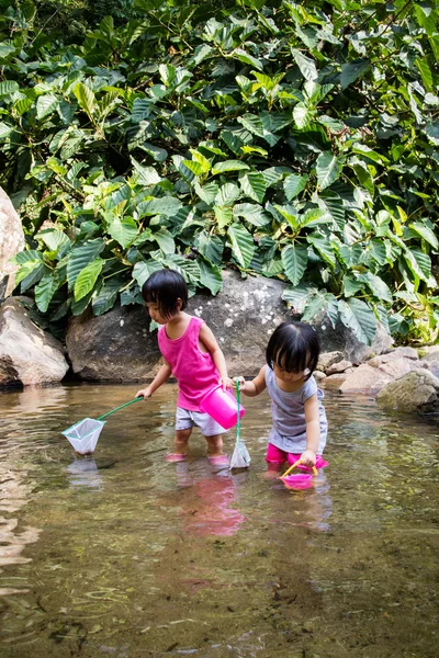 Asian Little Chinese Girls Playing in Creek