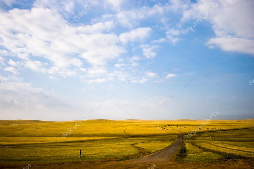 Inner Mongolia Grassland