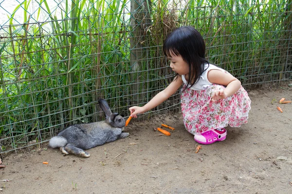 Asyalı küçük Çinli kız bir tavşan havuç ile besleme — Stok fotoğraf