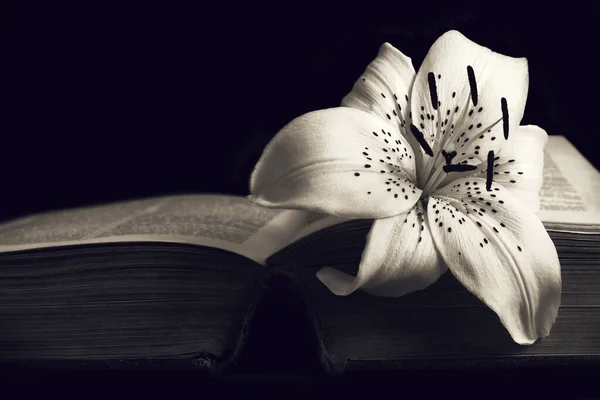 Condolence Card Copy Space White Lily Flower Open Book — Stock Photo, Image