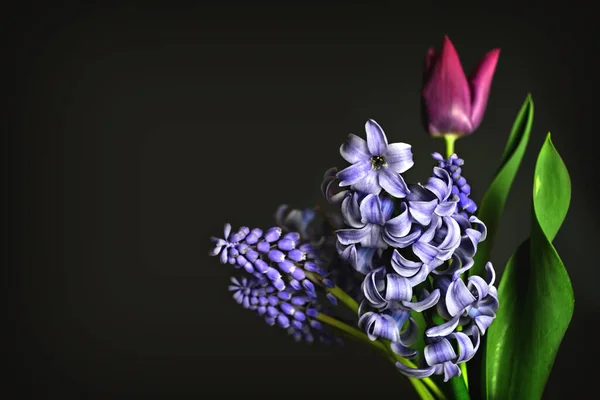 Muttertag Hintergrund Mit Frühlingsblumen — Stockfoto