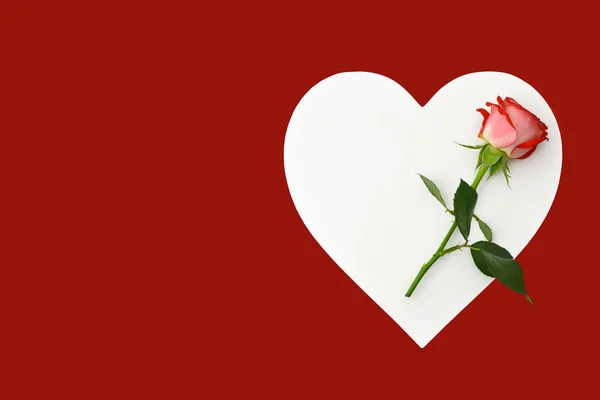 Den Matek Srdce Růže Červeném Pozadí Kopií Prostoru — Stock fotografie