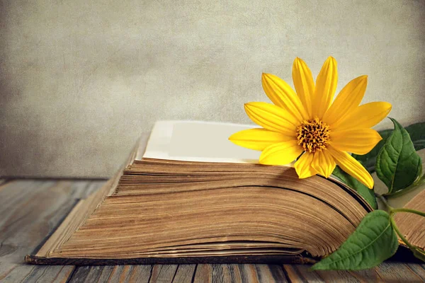 Sarı çiçek ve grunge arkaplan üzerine eski kitabı aç