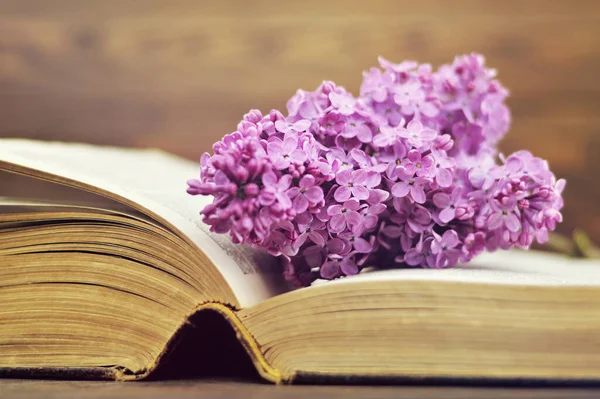 Lilac Flower Open Book — Stock Photo, Image