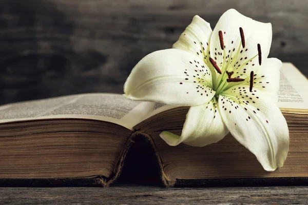 Sympathy Card White Lily Flower Open Book — Stock Photo, Image