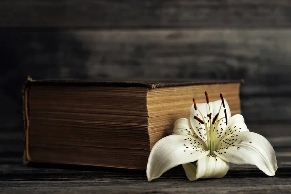 Sympathy Card White Lily Flower Old Book — Stock Photo, Image