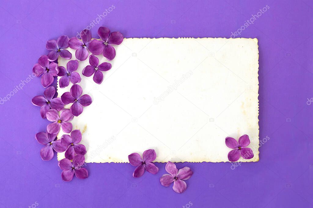 Mothers day card with lilac flowers and copy space. Floral background