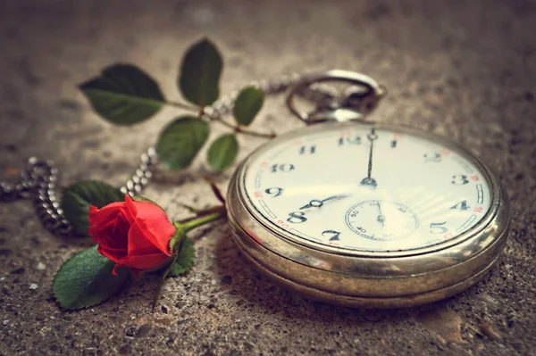 Fathers Day Gift Vintage Pocket Watch Red Rose — Stock Photo, Image