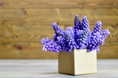 Babalar Günü çiçekleri hediye kutusunda düzenlenir.