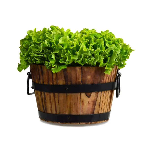 Salat Holzschale Isoliert Auf Weißem Hintergrund — Stockfoto